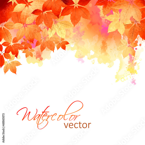 Autumn Vector Watercolor Fall Leaves