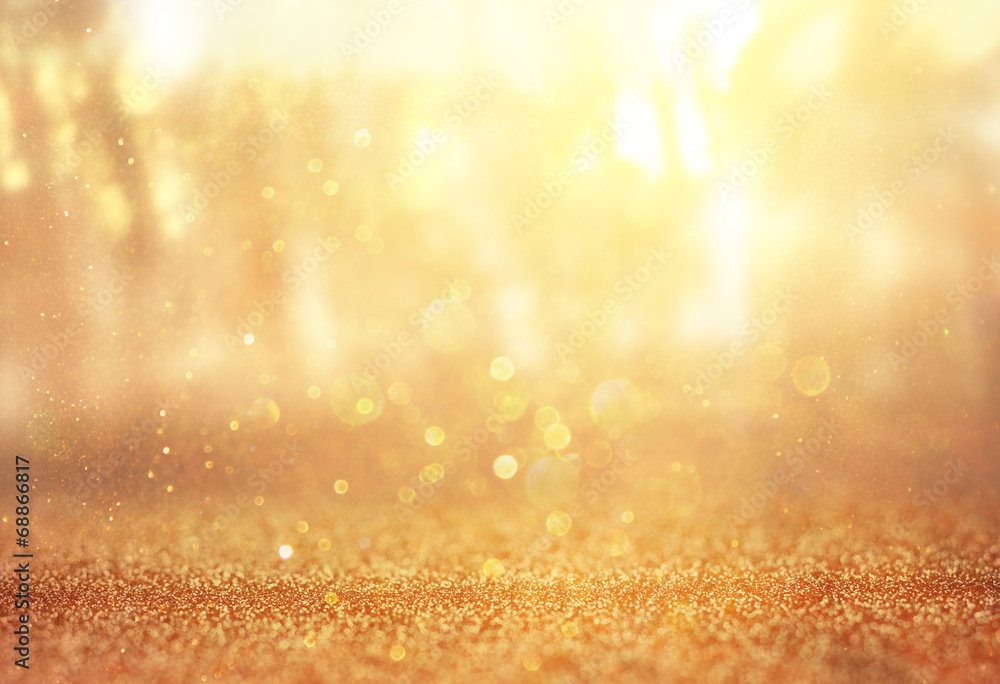blurred abstract photo of light burst among trees and glitter bo blurred abstract photo of light burst among trees and glitter bo