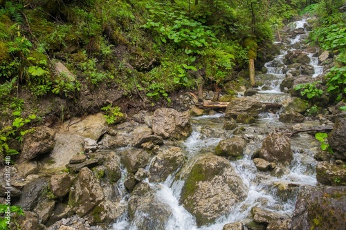 Fast mountain river in a forest