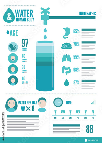 Water and human body info graphic. flat design vector