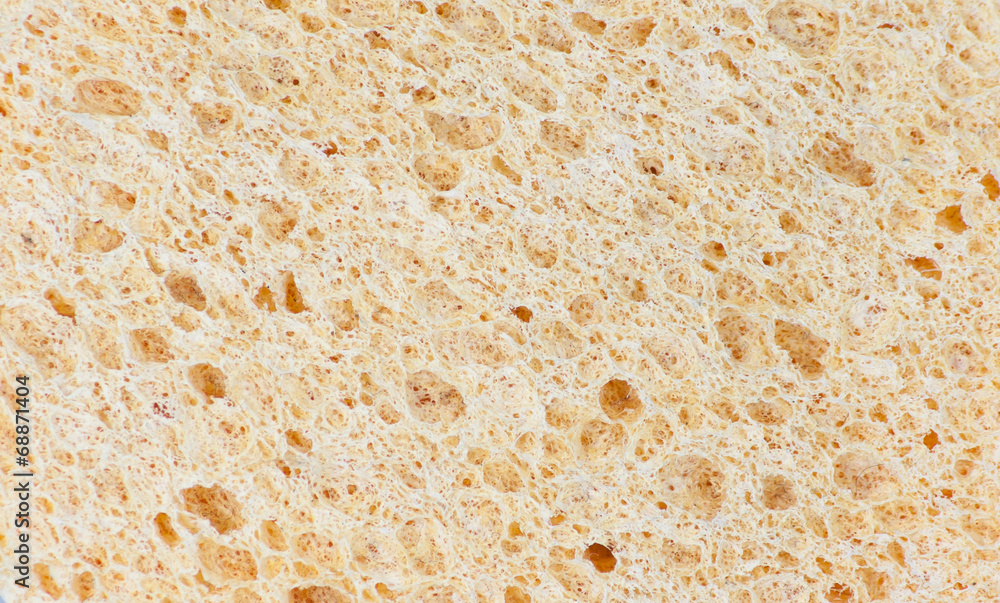 The surface of the sponge