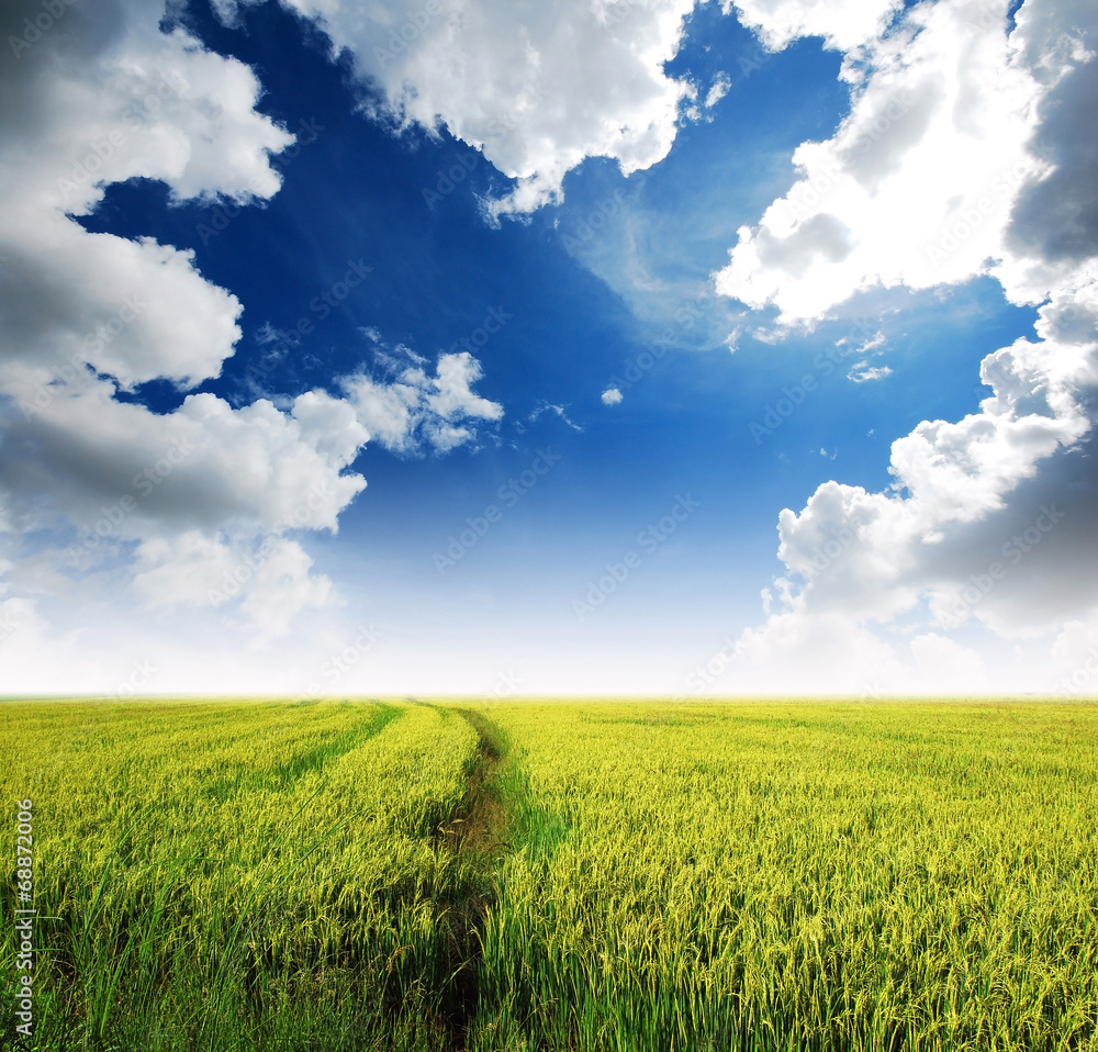 green grass blue sky cloud cloudy landscape background green grass blue sky cloud cloudy landscape background