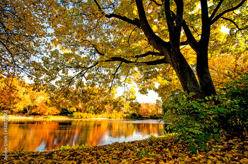 Goldener Herbst mit ruhigem See im Park :) #68872066