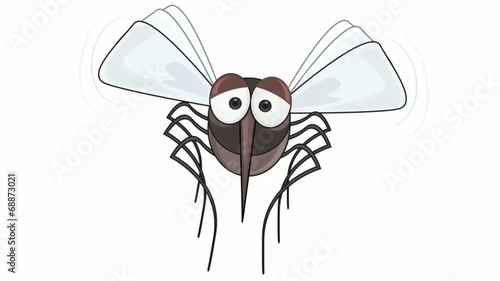 mosquito animation photo