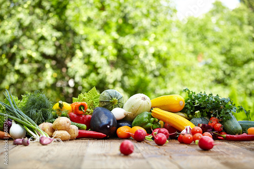 Fresh organic vegetables ane fruits on wood table  in the garden