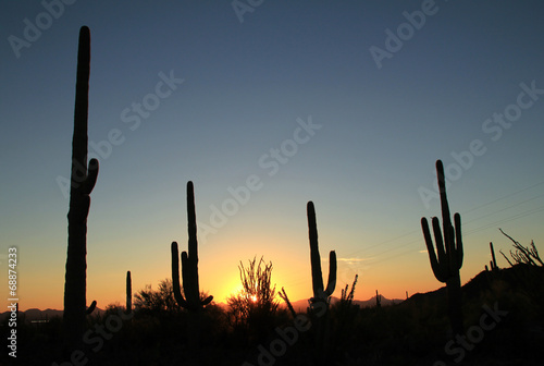 Sunset Over Saguaro National Park, Arizona, United States