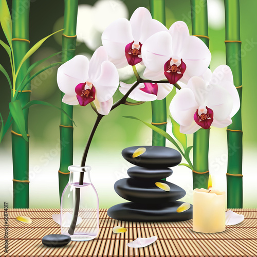 Vector Beautiful Spa Composition With Zen Stones