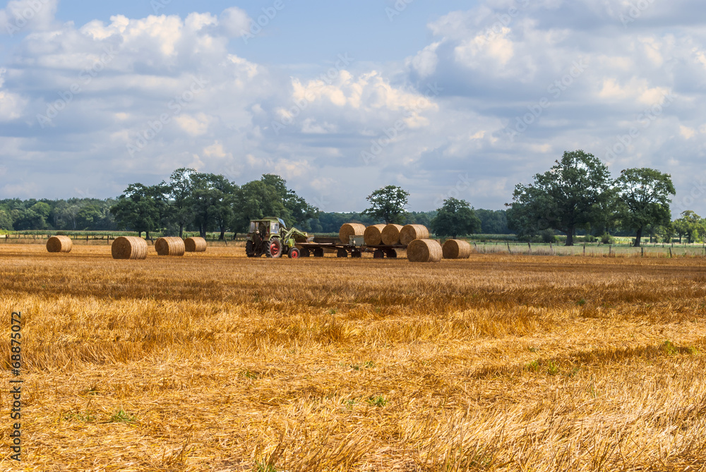 Fototapeta premium Tractor collecting hay bales