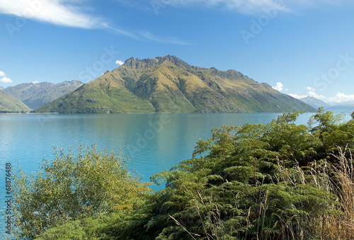 wild nature of New Zealand