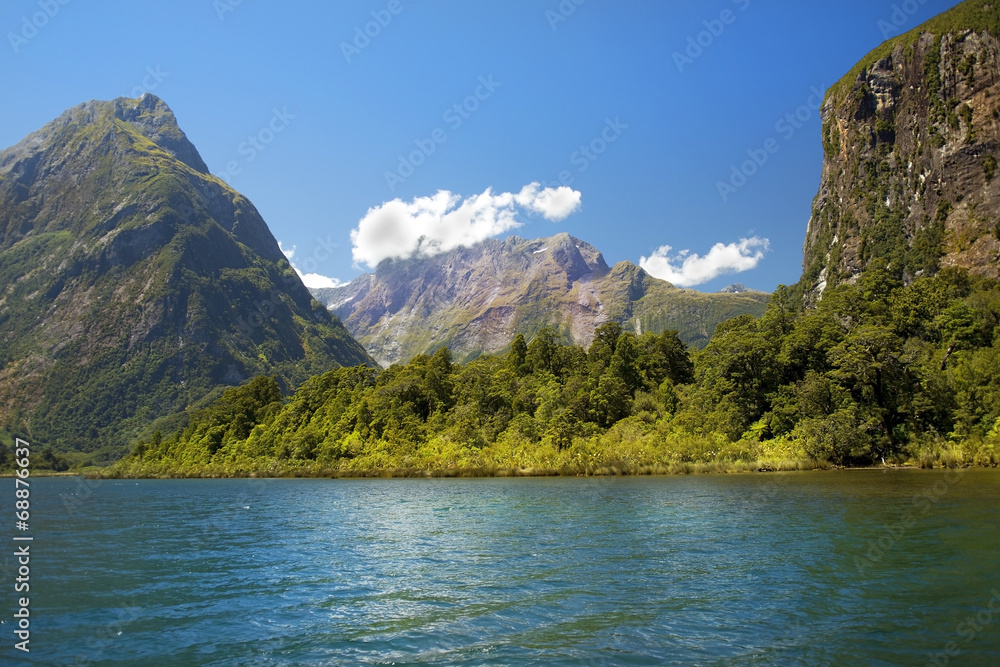 Fototapeta premium wild nature of New Zealand