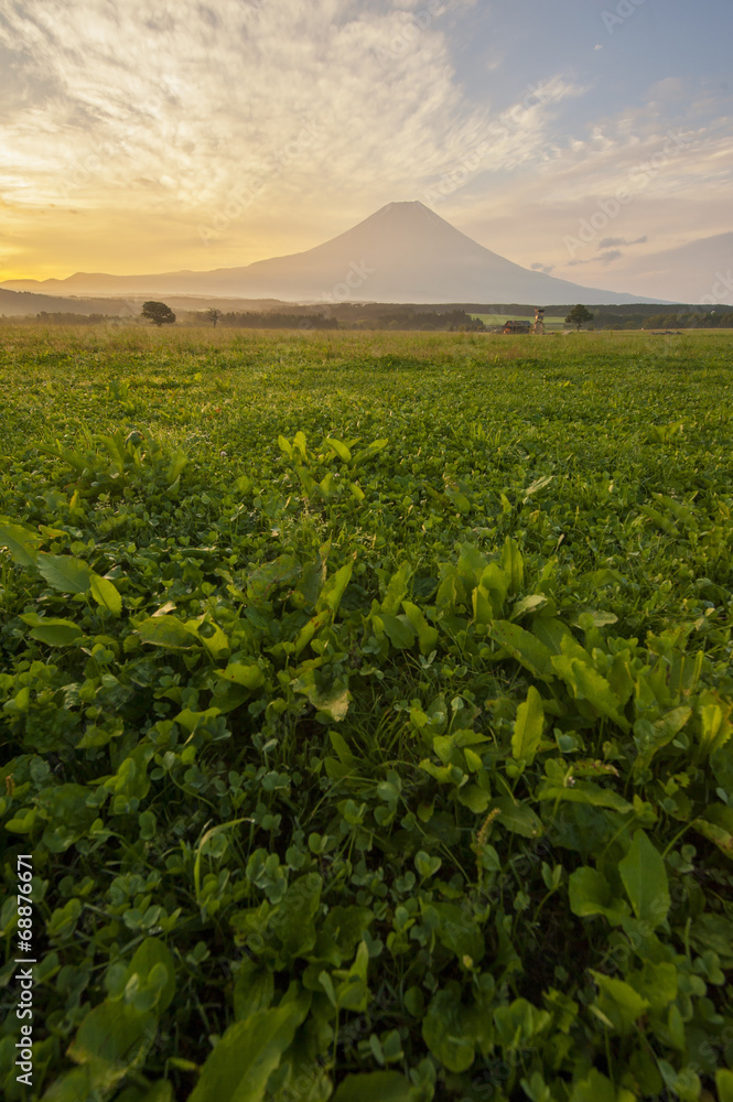 Fototapeta premium Mt. Fuji