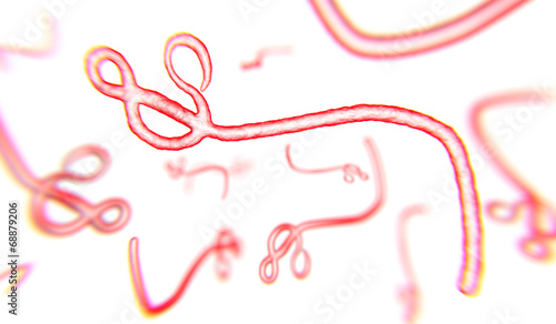 Ebola wirus 1