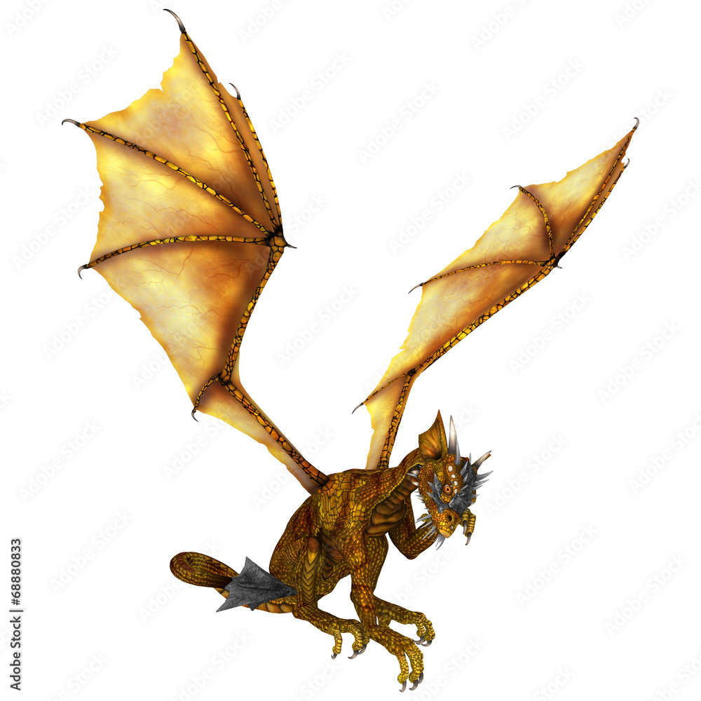 Fototapeta premium Little Dragon