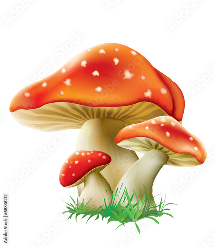 three red mushrooms