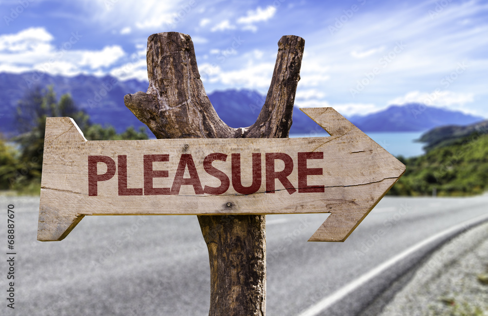 Pleasure wooden sign with a street background