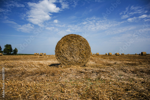 Bale of hay