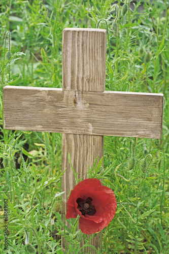 Fototapeta Naklejka Na Ścianę i Meble -  poppy cross
