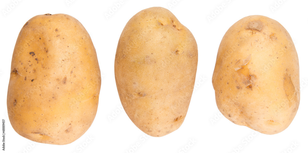 Sweet potato over white background Sweet potato over white background