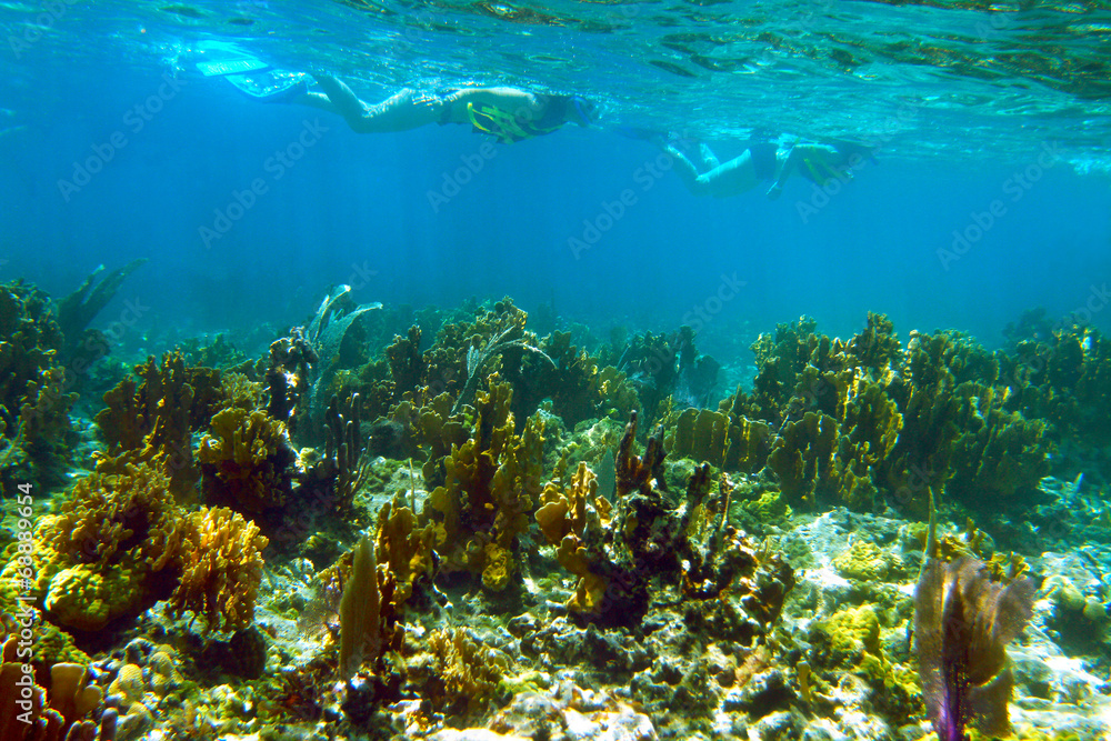 Fototapeta premium Snorkeling in Cayo Coco