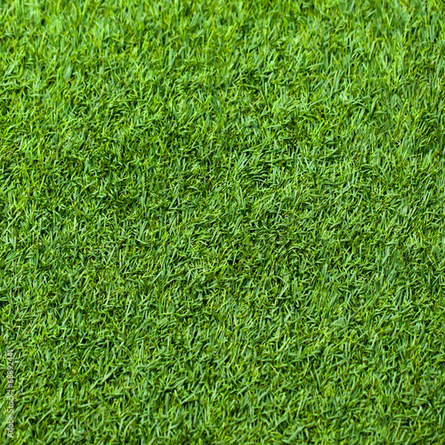 Green grass seamless texture. Seamless in only horizontal dimens