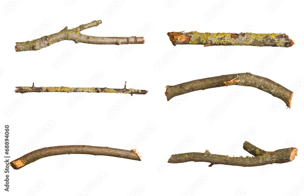 Obraz premium Fire wood