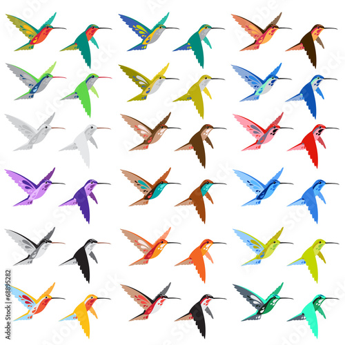 Hummingbirds