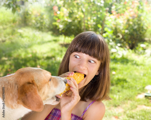 Hungry dog photo