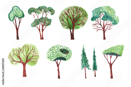 Set of different trees painted by watercolor.