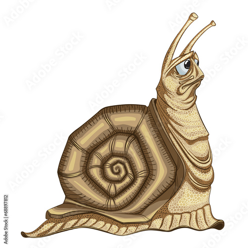 Illustration of the sad  snail on a white background