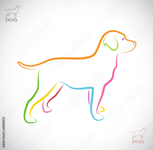Vector image of an dog labrador