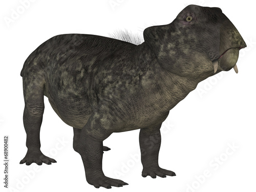 Lystrosaurus- 3D Dinosaur photo