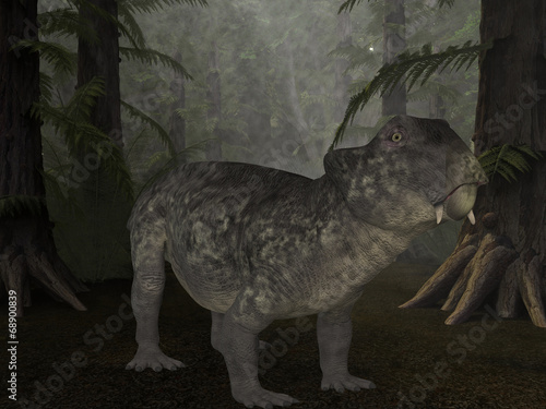 Lystrosaurus- 3D Dinosaur