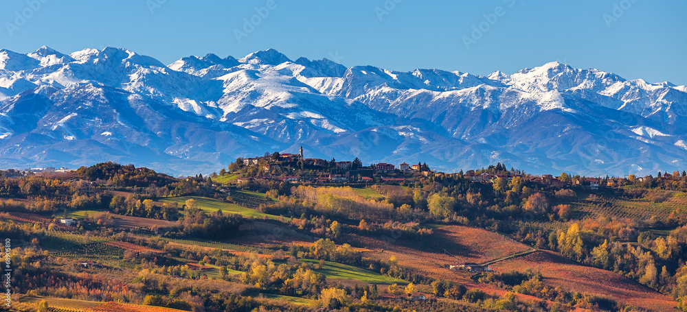 Autumnal vineyards and snowy mountains in Italy.