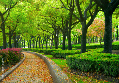 Photography Green city park