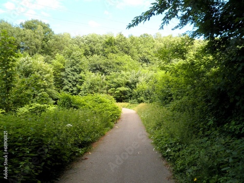 Beautiful Green Trail Germany