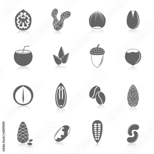 Set of nuts icons