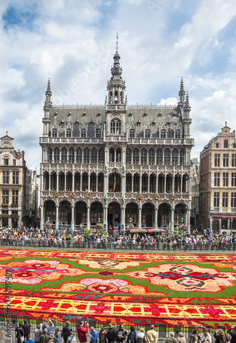 Floral carpet 2014 in Brussels