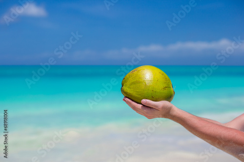 Closeup of coconut in hands background the turquoise sea © travnikovstudio