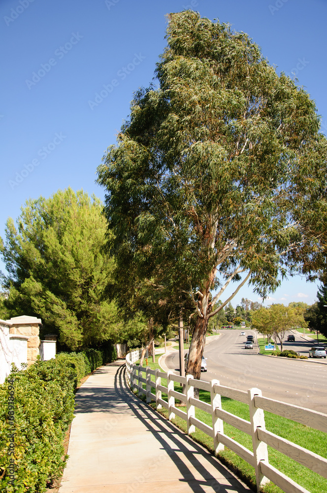 Pedestrian walkway for exercise and walk Pedestrian walkway for exercise and walk