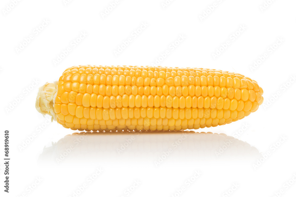 Corn Cob on white background Corn Cob on white background