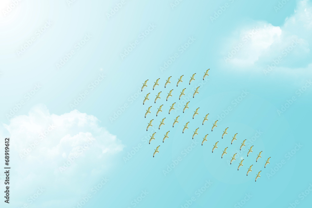 Obraz premium Flock of Seagulls forming Arrow Symbol