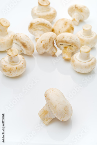 Fresh edible Portabello Mushroom Champignon over white backgroun