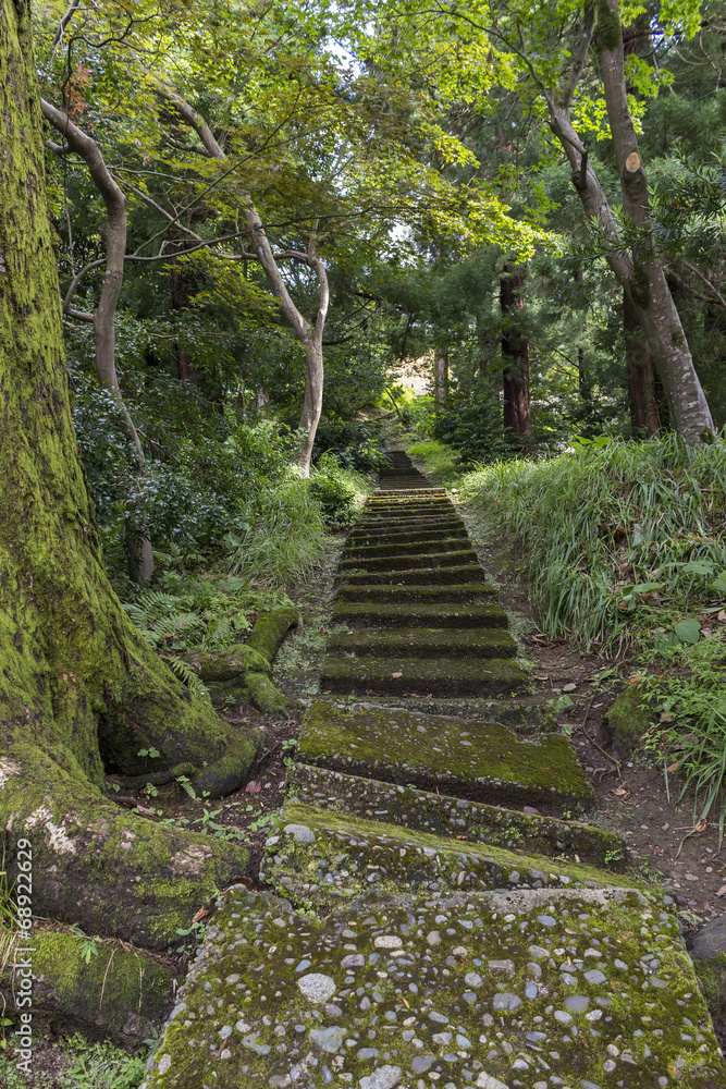 Steps in the botanical garden in Batumi Steps in the botanical garden in Batumi