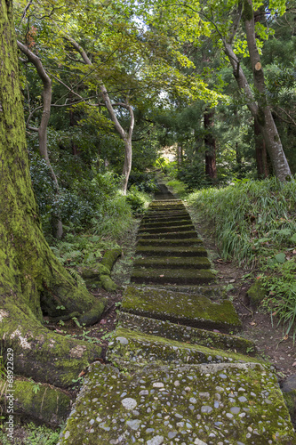 Steps in the botanical garden in Batumi