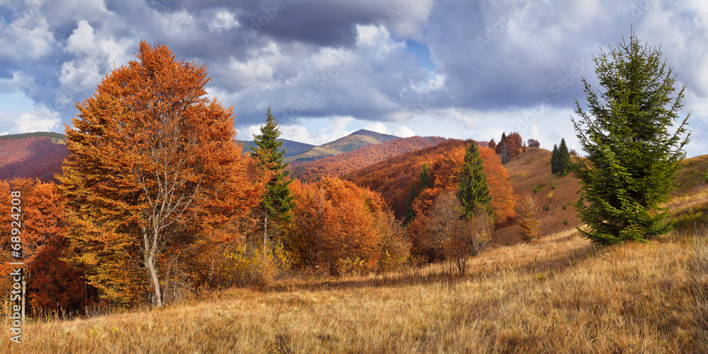 Fototapeta premium Beautiful Autumn in the mountains