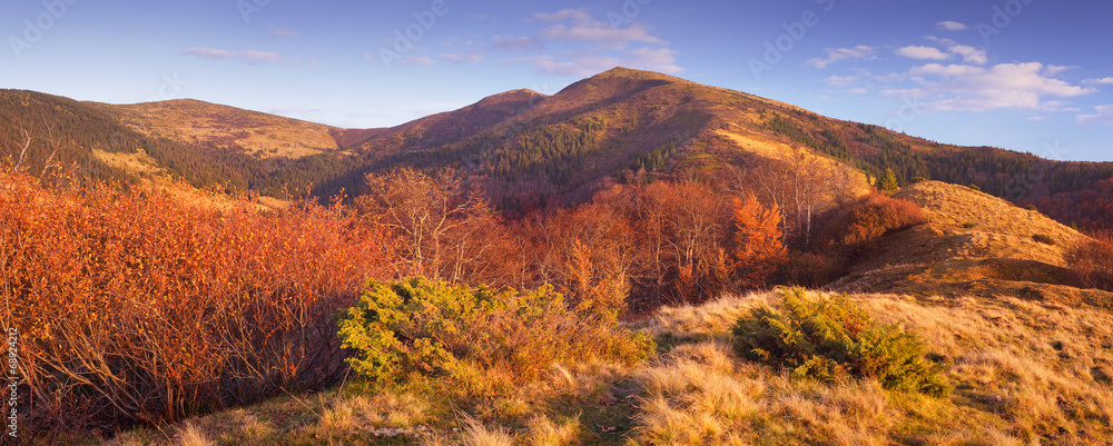 Fototapeta premium Colorful Autumn in the mountains