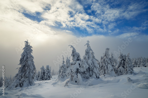 Winter Landscape © Oleksandr Kotenko