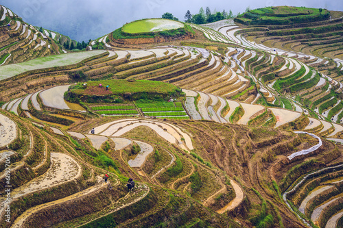Canvas Print Rice Terraces in Guilin, Guangxi Province, China