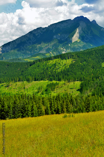 Meadow in the mountains