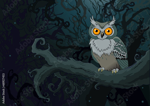 Night owl